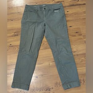 Ann Taylor Loft Womens Modern Skinny Ankle  Size 30/10P Green